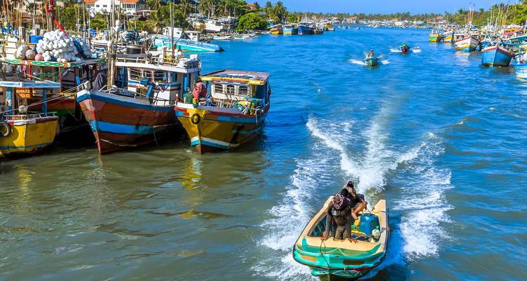 Kleurrijke vissersboten aangemeerd bij een rivier met weelderige vegetatie.