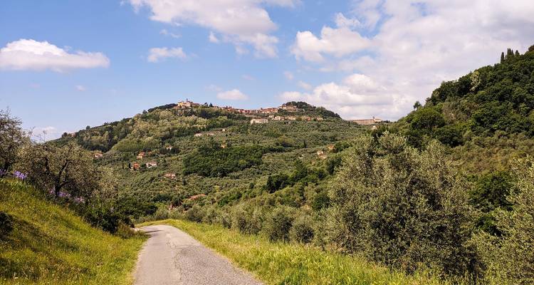 Collines ondulantes de Toscane avec une route sinueuse.