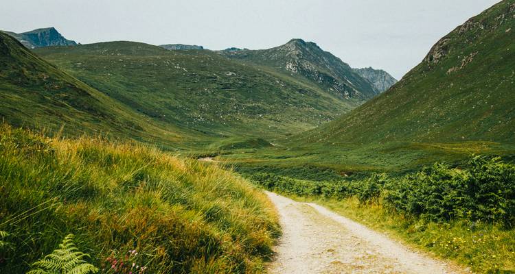 Weg durch ein üppig grünes Tal mit Bergen im Hintergrund.