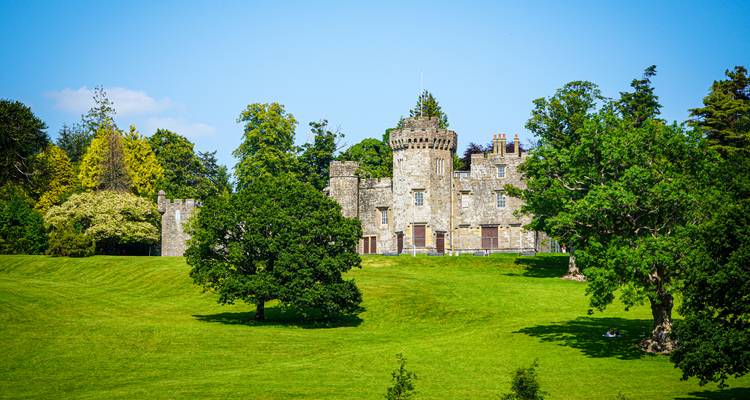 Ein historisches Schloss auf einem grasbewachsenen Hügel, umgeben von Bäumen.