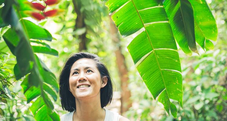 Personne marchant à travers un feuillage tropical dense.