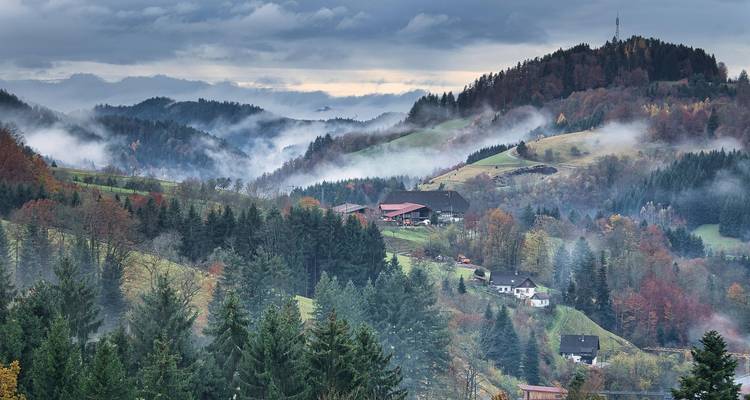 Des collines brumeuses et des forêts s'amassant au-dessus d'un paysage rural.