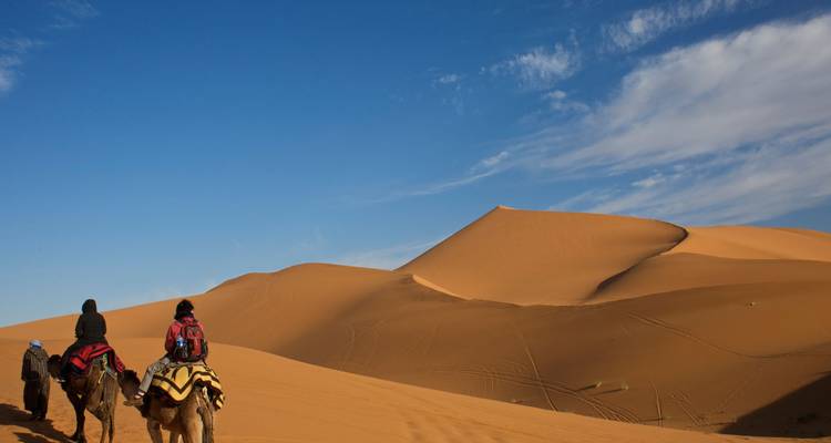Kamelkarawane, die unter klarem Wüstenhimmel über beeindruckende goldene Sanddünen wandert