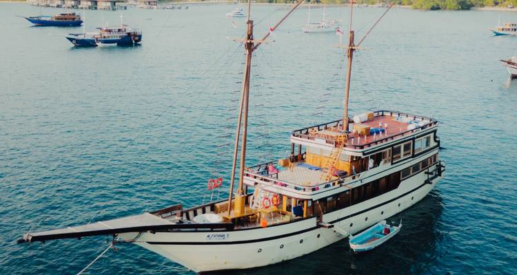 Navire en bois ancré avec d'autres bateaux autour.