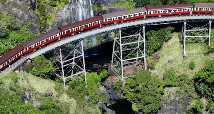 Rode trein die een weelderige, groene vallei oversteekt via een brug.
