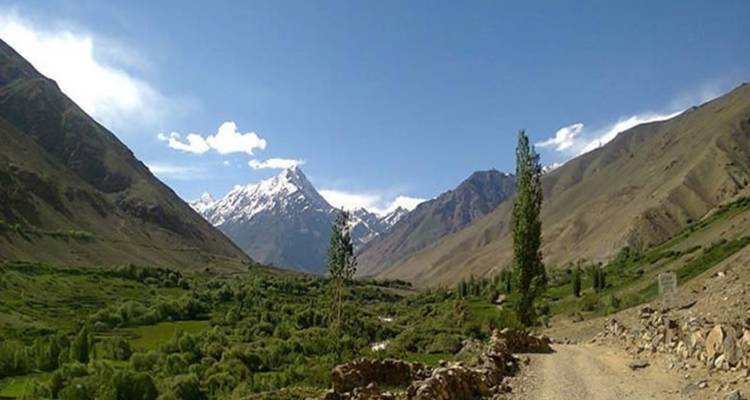 Route de montagne à travers une vallée verte avec un sommet enneigé.