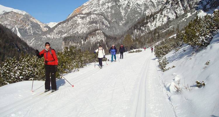 Groupe de personnes pratiquant le ski de fond sur une piste forestière.