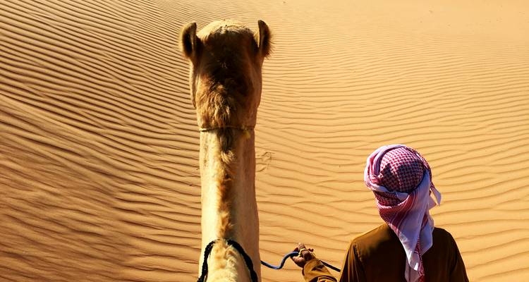 Chameau et cavalier traversant les dunes du désert.