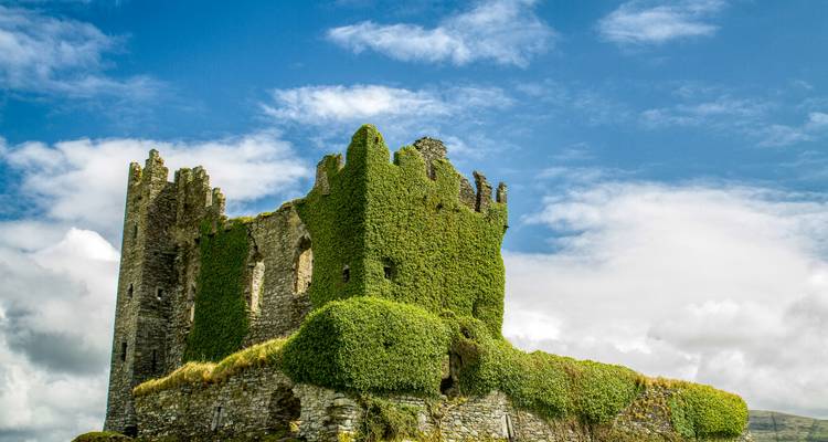 Ruines d'une ancienne structure en pierre recouverte de verdure.