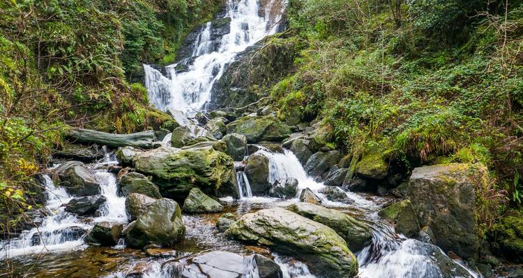 A beautiful cascading waterfall in a lush forest setting.