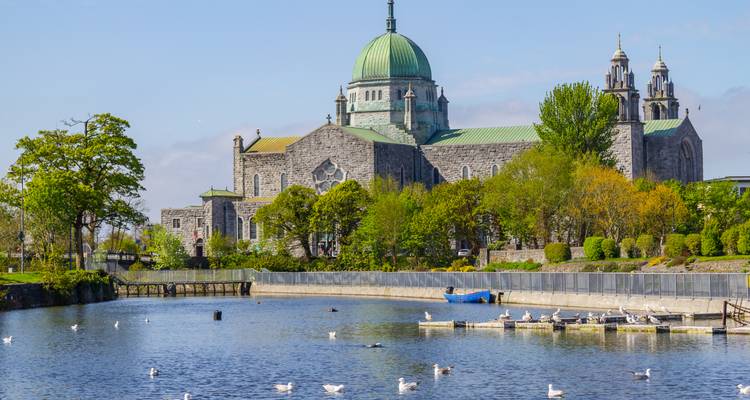 A historic cathedral by a river with swans and trees.