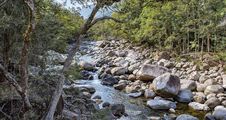 Un río tranquilo que fluye a través de un paisaje forestal rocoso.