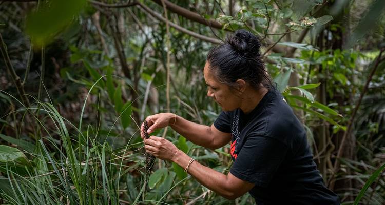 Una mujer interactuando with la naturaleza en un bosque exuberante.