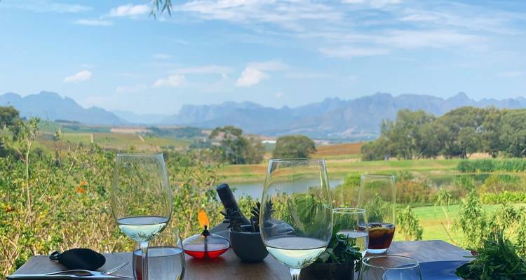 Table avec verres et vue panoramique sur le vignoble.