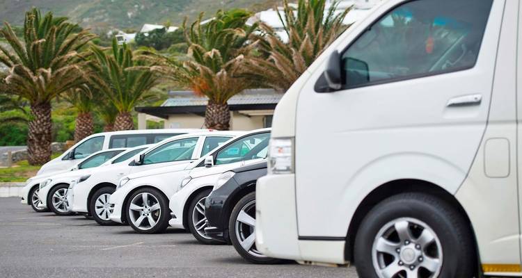 Rangée de véhicules blancs garés dans un parking.