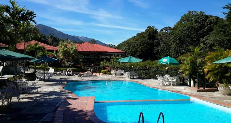 A pool area with loungers and umbrellas surrounded by greenery.