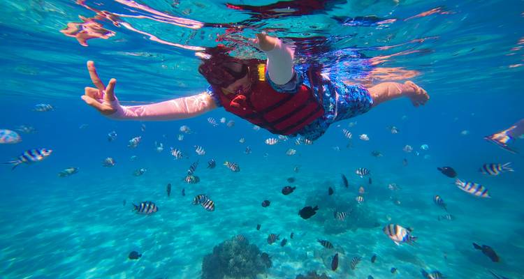 Personne faisant de la plongée avec tuba dans une eau bleue claire avec des poissons