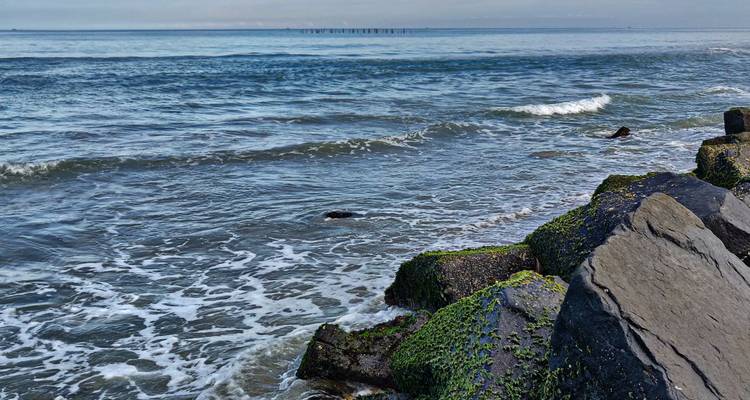 Vista de olas estrellándose contra la costa rocosa.