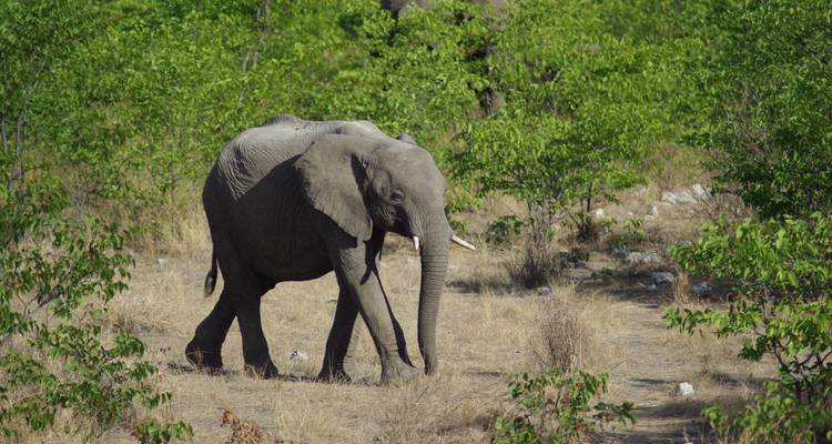 Famille namibienne aventurière - Exodus Adventure Travels 2