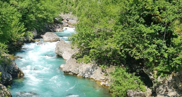 Pristine river flowing through a lush green forest.