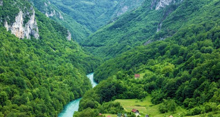 Lush green valley with a winding river.