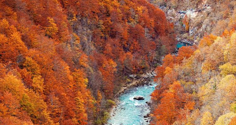 Rugged canyon landscape with colorful autumn foliage.