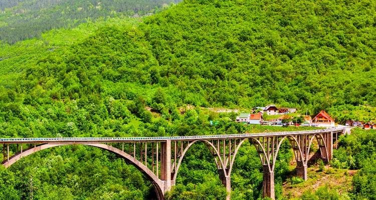 Tall bridge crossing a green forested canyon.