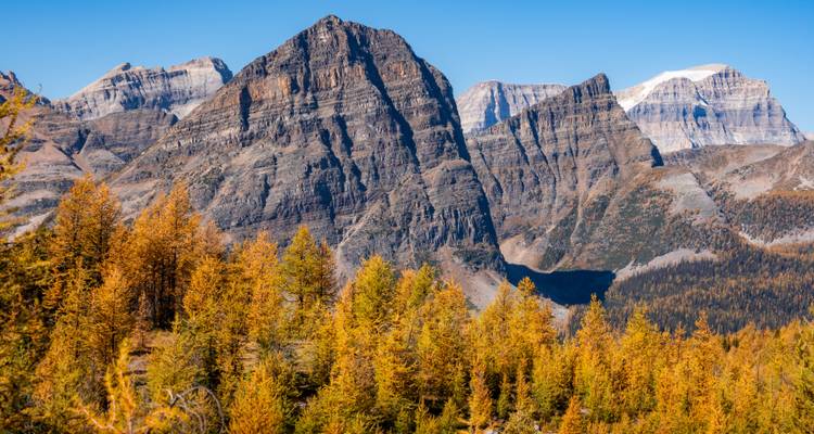 Montañas con follaje otoñal en primer plano bajo cielo despejado.