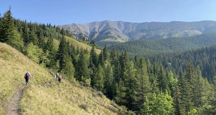 Excursionistas en un sendero a través de un terreno montañoso boscoso.