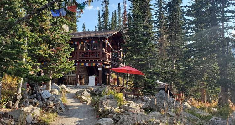 Une cabane entourée d'arbres et d'un sentier rocheux.