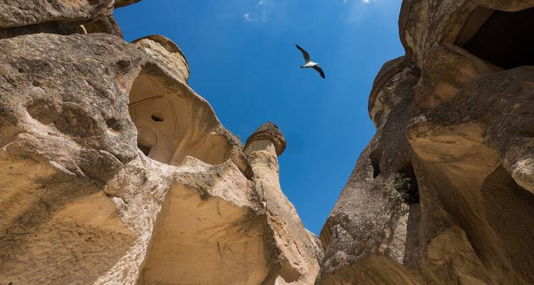 Formaciones rocosas en Capadocia con un pájaro en el cielo.