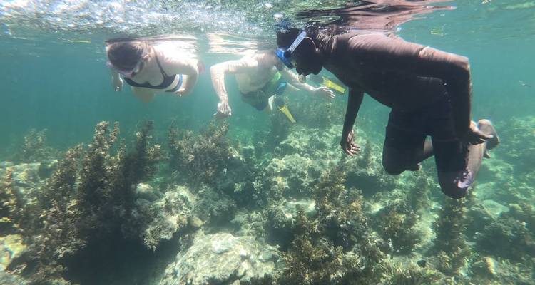 Groupe de personnes faisant de la plongée avec tuba au-dessus d'un récif de corail.