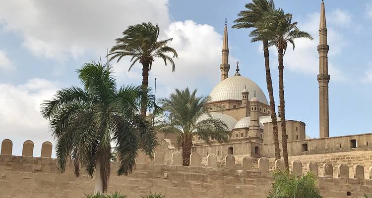 Mosquée avec des palmiers autour et ciel bleu.