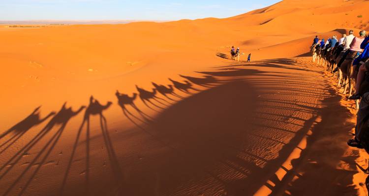 Ombres de chameaux projetées sur les dunes de sable lors d'une randonnée au coucher du soleil dans le désert.