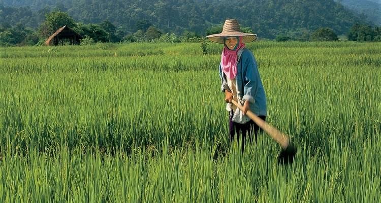 Aventure familiale au Vietnam - Exodus Adventure Travels 9