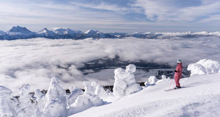 Un skieur sur une montagne enneigée avec une vue immense sur le paysage.