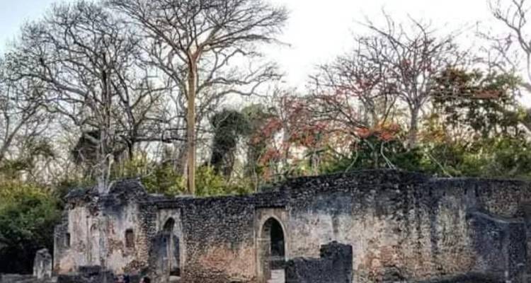 Structure en pierre abandonnée et patinée, entourée d'arbres dénudés.