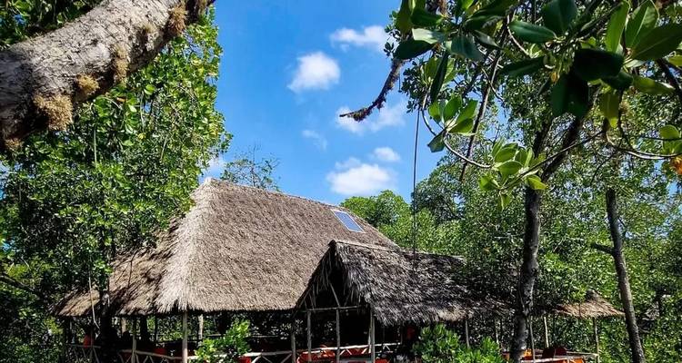 Structure au toit de chaume entourée d'arbres verts luxuriants sous un ciel bleu dégagé.