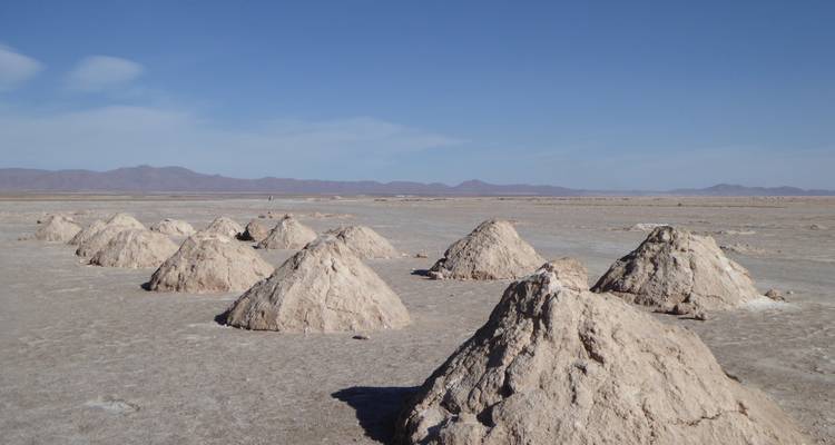 Montículos de sal en el vasto terreno de una salina con montañas distantes.