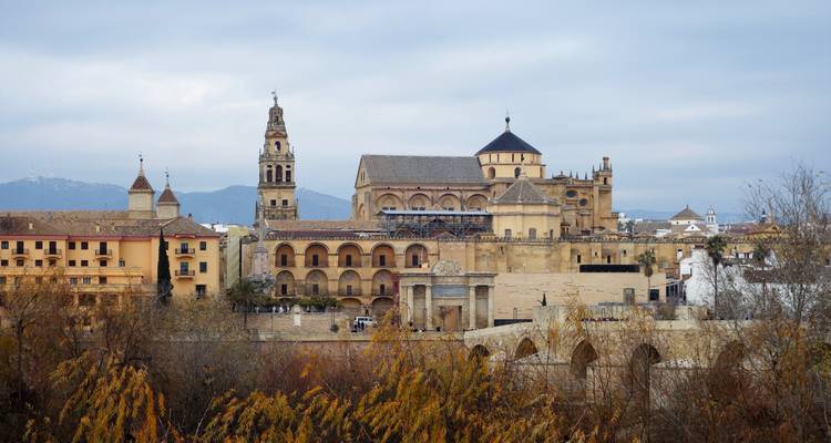 Horizon d'une ville historique avec une grande cathédrale et de vieux bâtiments.