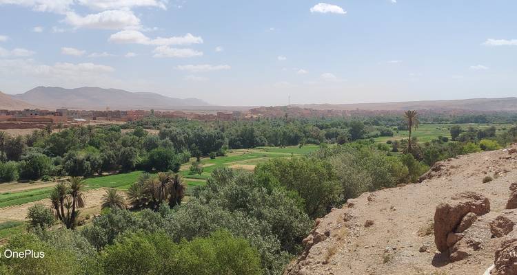 Een landschapsuitzicht met groen gebladerte en een stad in de verte.