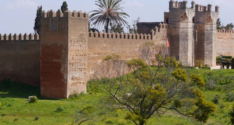 Oude vestingmuur met weelderig groen.