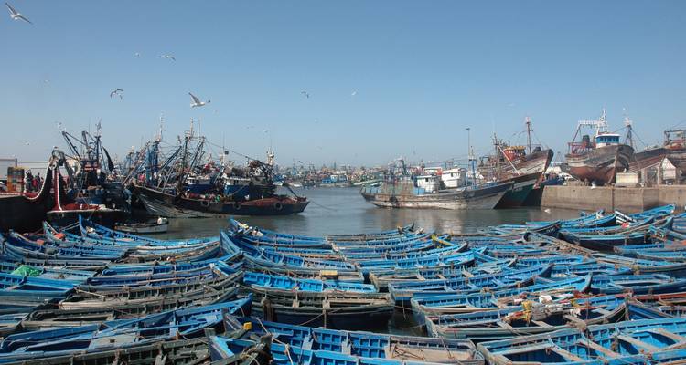 Un port rempli de nombreux bateaux de pêche bleus.