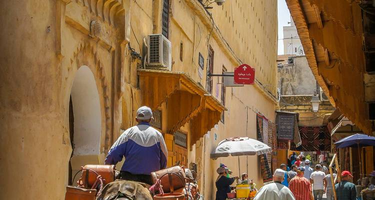 Busy street scene with locals and a person on a mule.