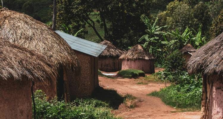 Sentier de village traditionnel avec plusieurs huttes au toit de chaume.