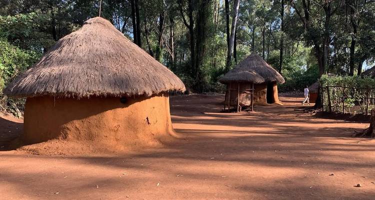 Huttes traditionnelles dans un cadre villageois entourées d'arbres.