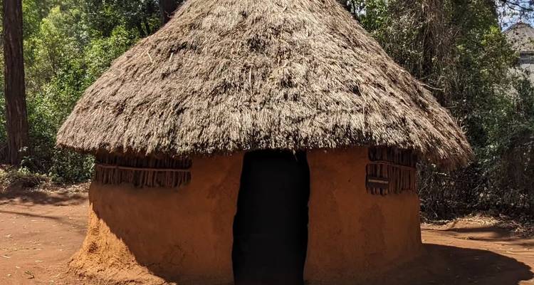 Gros plan d'une seule hutte traditionnelle avec un toit de chaume.