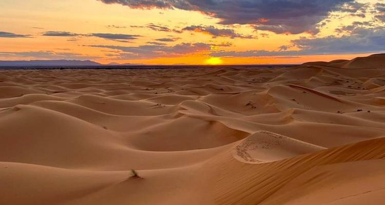 Wüstenlandschaft bei Sonnenuntergang mit Sanddünen.