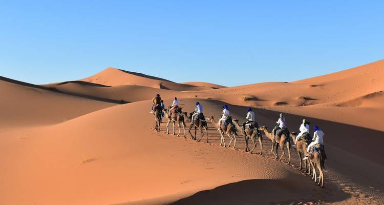 Kamelkarawane, die durch die Sanddünen in der Wüste reist.