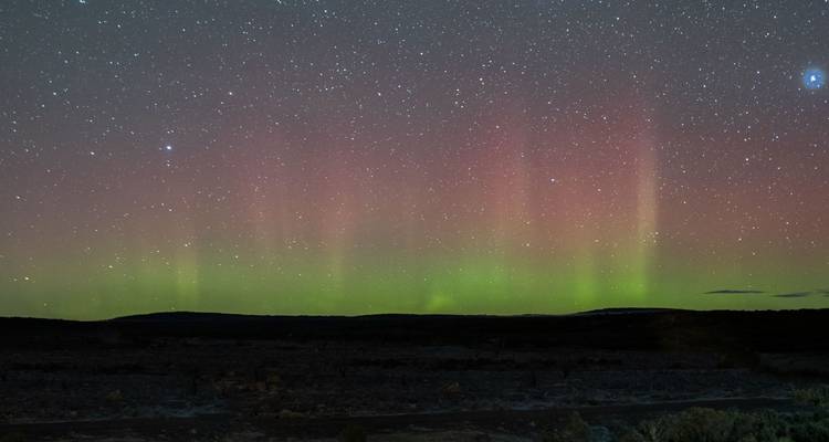 Sternenhimmel mit sichtbaren Polarlichtern, die den Horizont erleuchten.